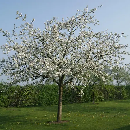 Op D'n Stolberg Bed and breakfast