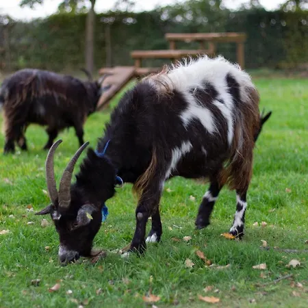 Op D'n Stolberg Weert