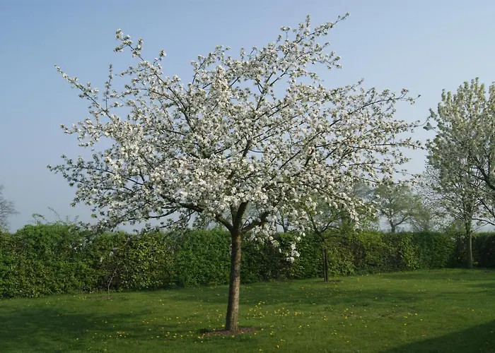 Op D'n Stolberg Отель типа 