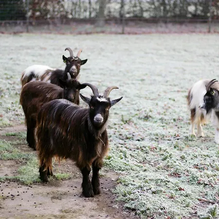 Alojamento de Acomodação e Pequeno-almoço Op D'n Stolberg Weert