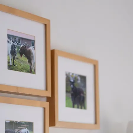 Op D'n Stolberg Alojamento de Acomodação e Pequeno-almoço Weert