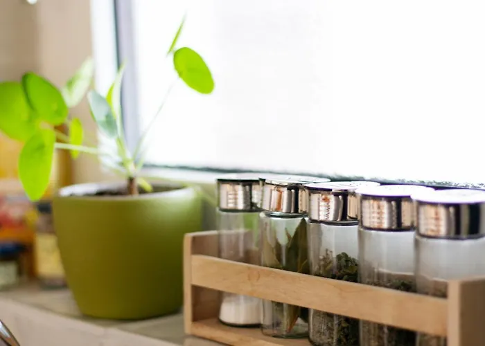 Op D'n Stolberg Alojamento de Acomodação e Pequeno-almoço