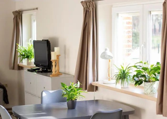 Op D'n Stolberg Alojamento de Acomodação e Pequeno-almoço 3*