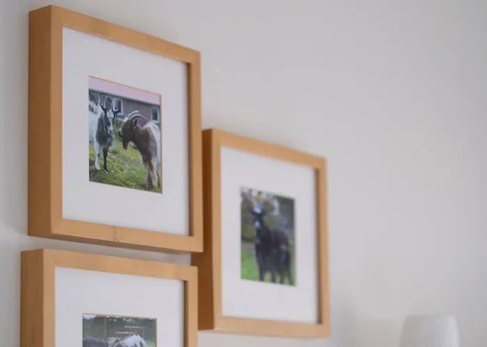 Op D'n Stolberg Alojamento de Acomodação e Pequeno-almoço Weert